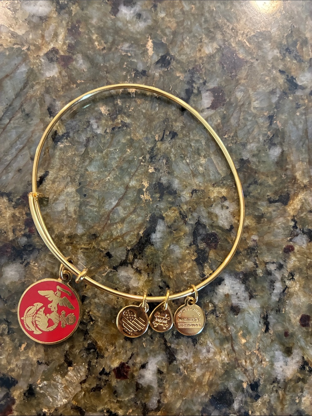 Alex and Ani Gold Charm Bangle Bracelet with Red Enamel Marine Emblem
